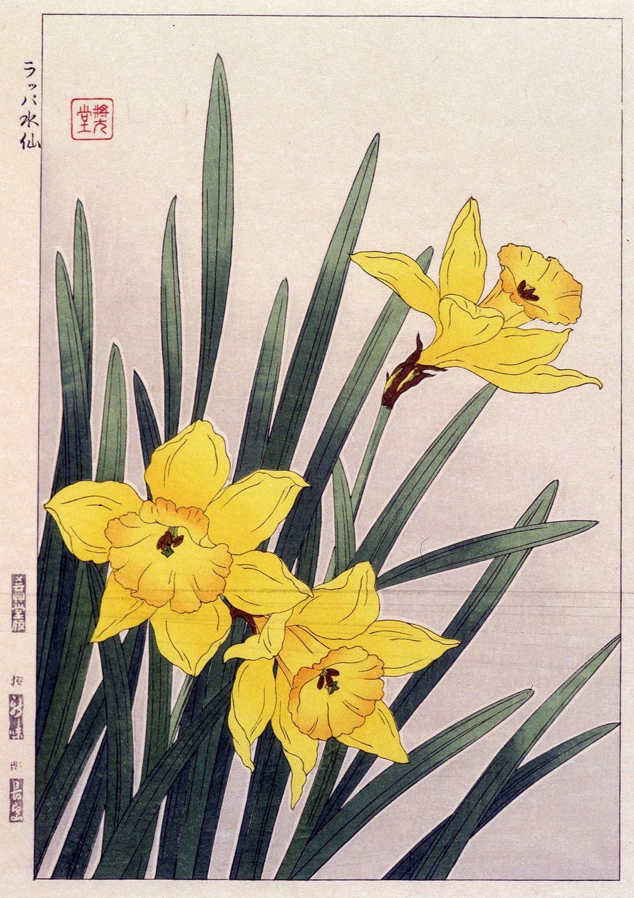 Dichtbij narcissen - Japanse prent door Japanese School