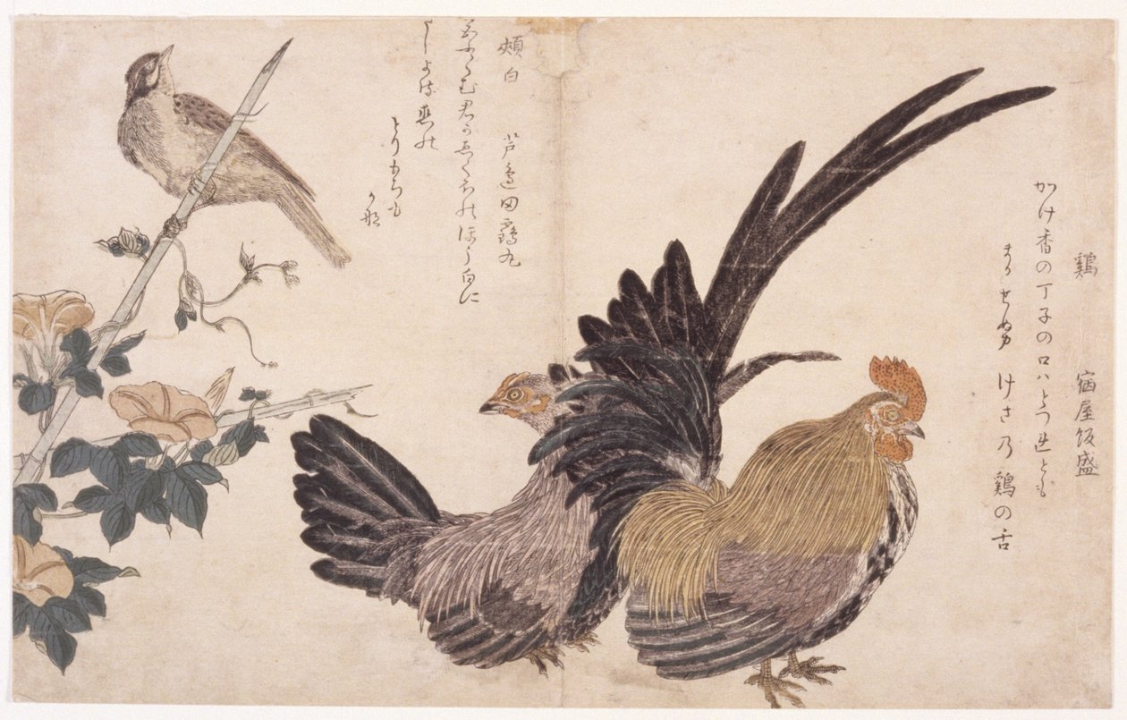 Haan, Hen en Vogel door School Japanese