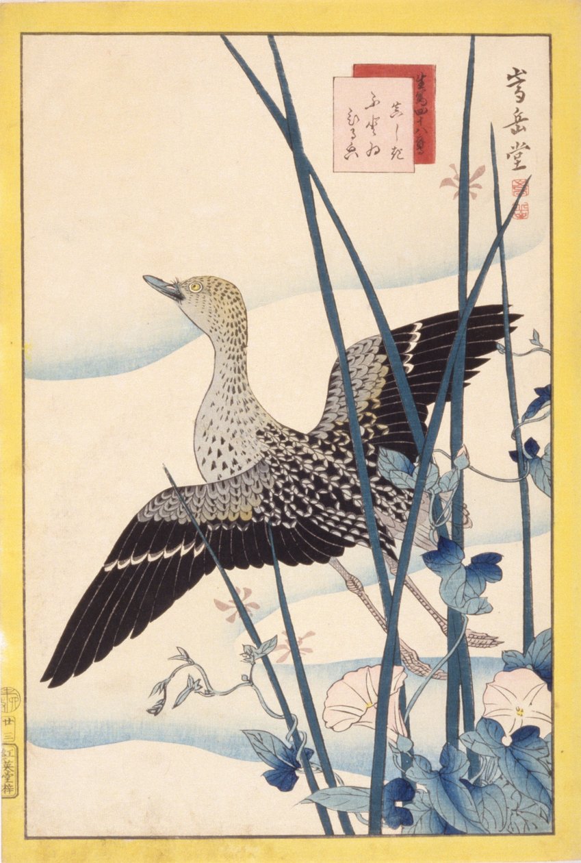 Wilde Eend door School Japanese