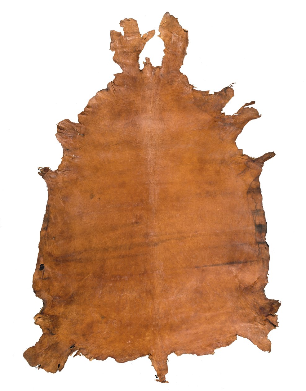 Dierenhuid, c. 1786 door School Russian