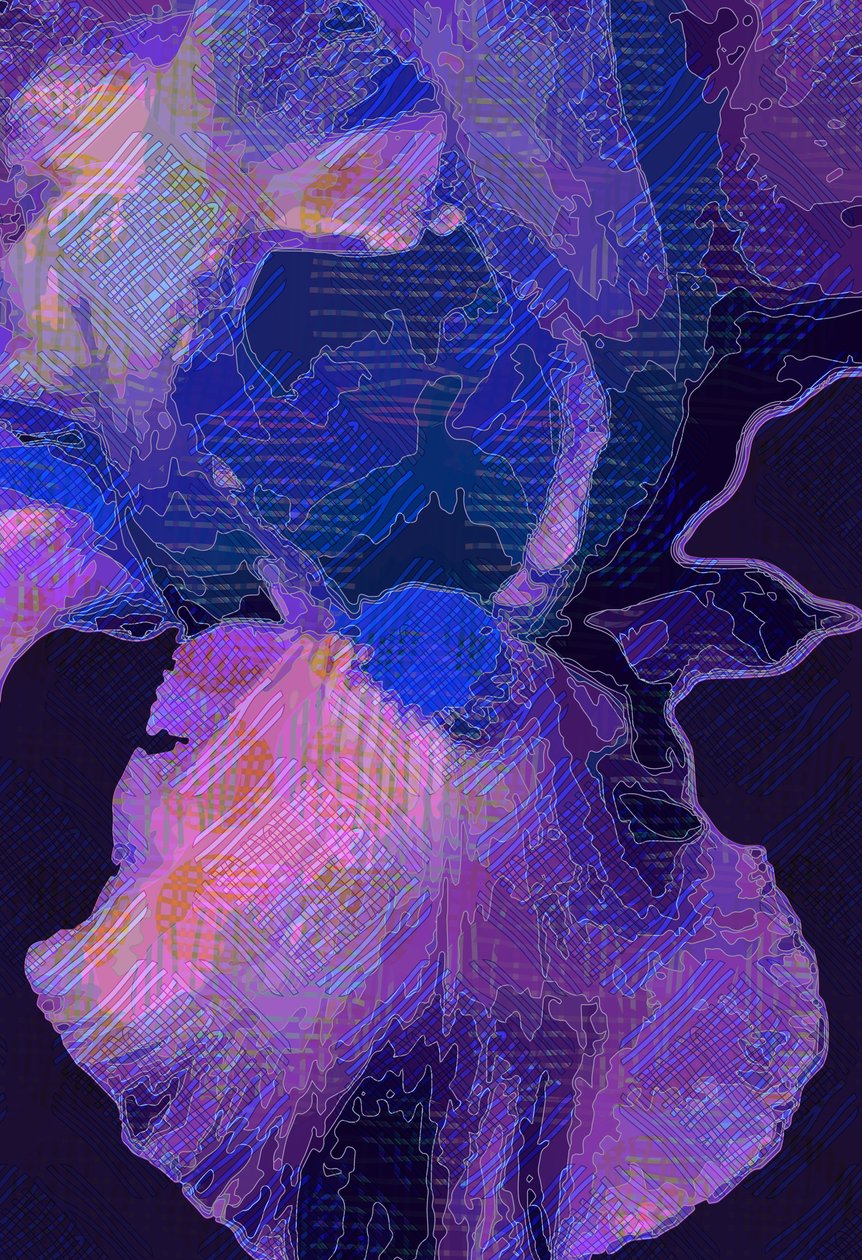 Blauwe iris (digitaal) door Scott J. Davis