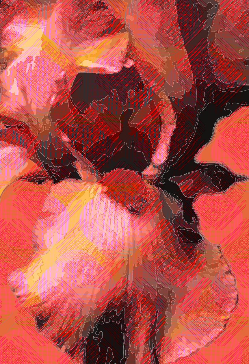 Oranje iris door Scott J. Davis