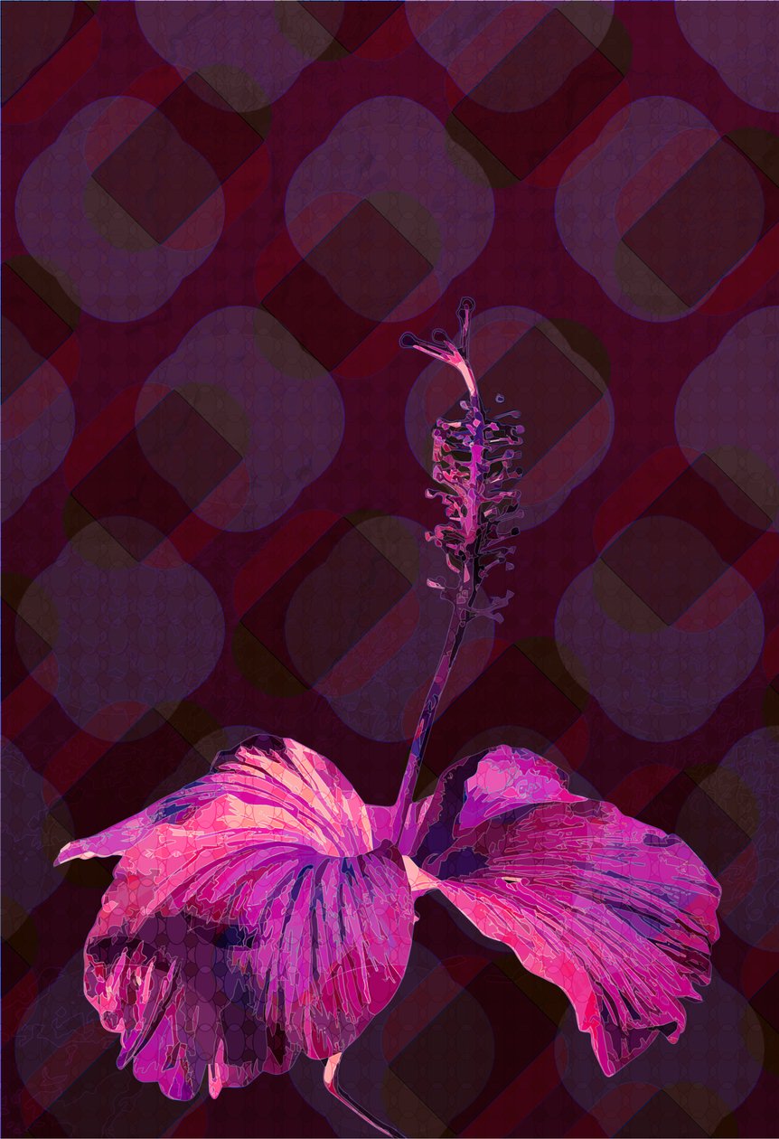 Hibiscus3 door Scott J. Davis