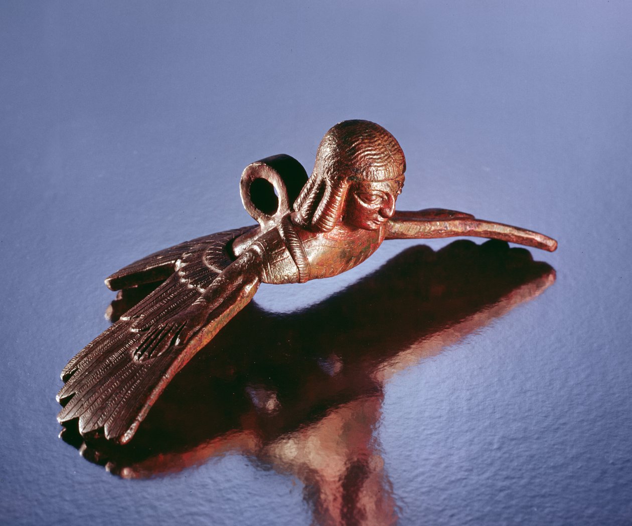 Ketelhandvat, vogel met het torso van een vrouw door Scythian
