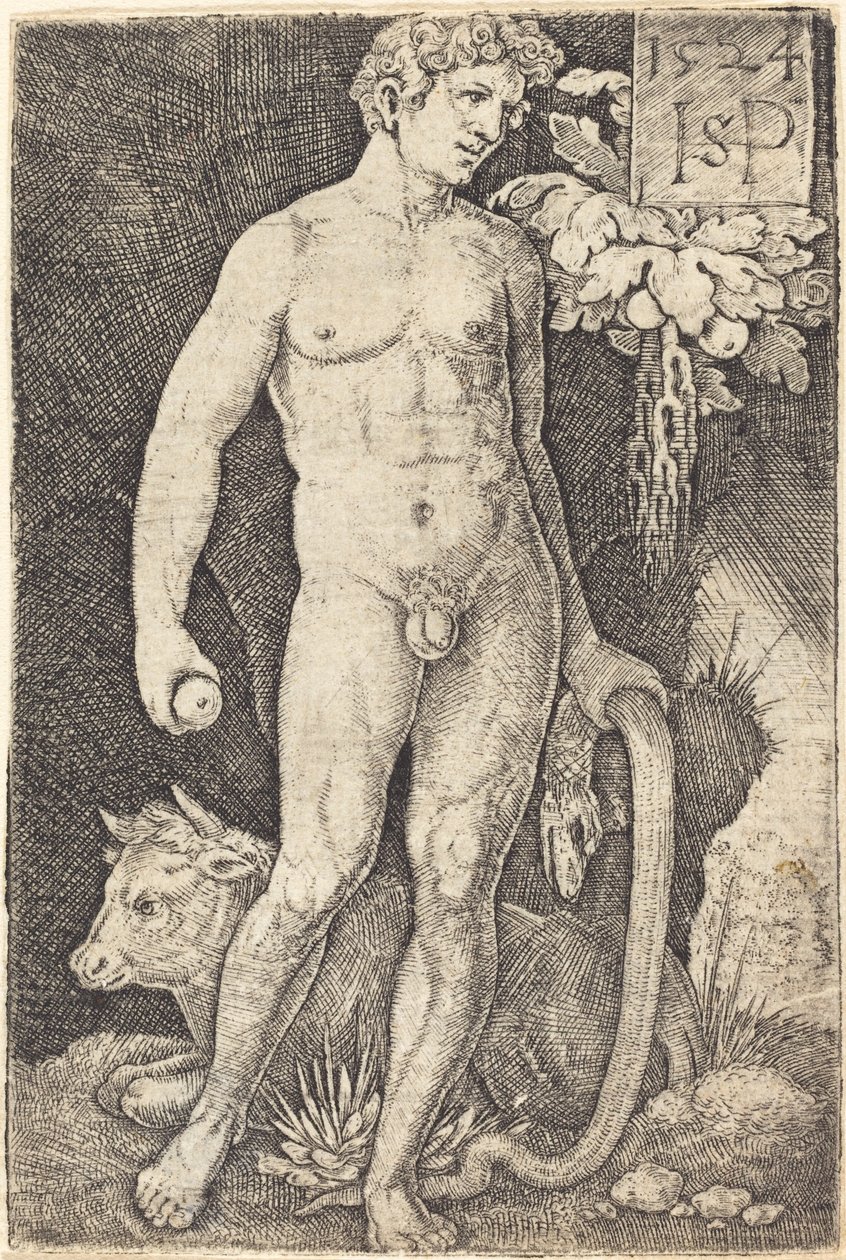 Adam Staand door Sebald Beham