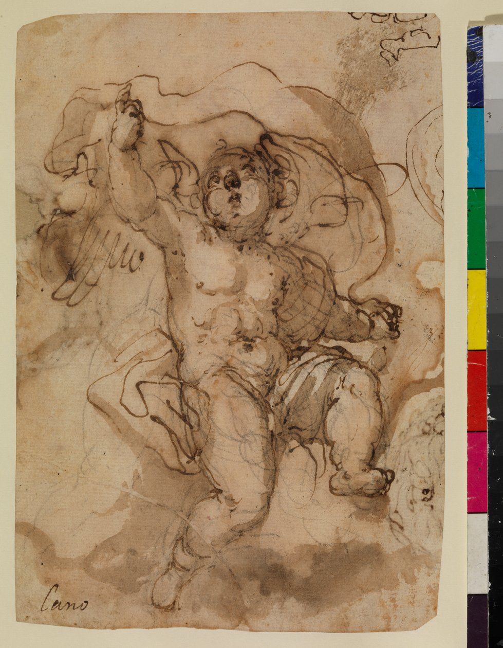 Putto op een wolk (recto) door Sebastian (attr.to) Munoz