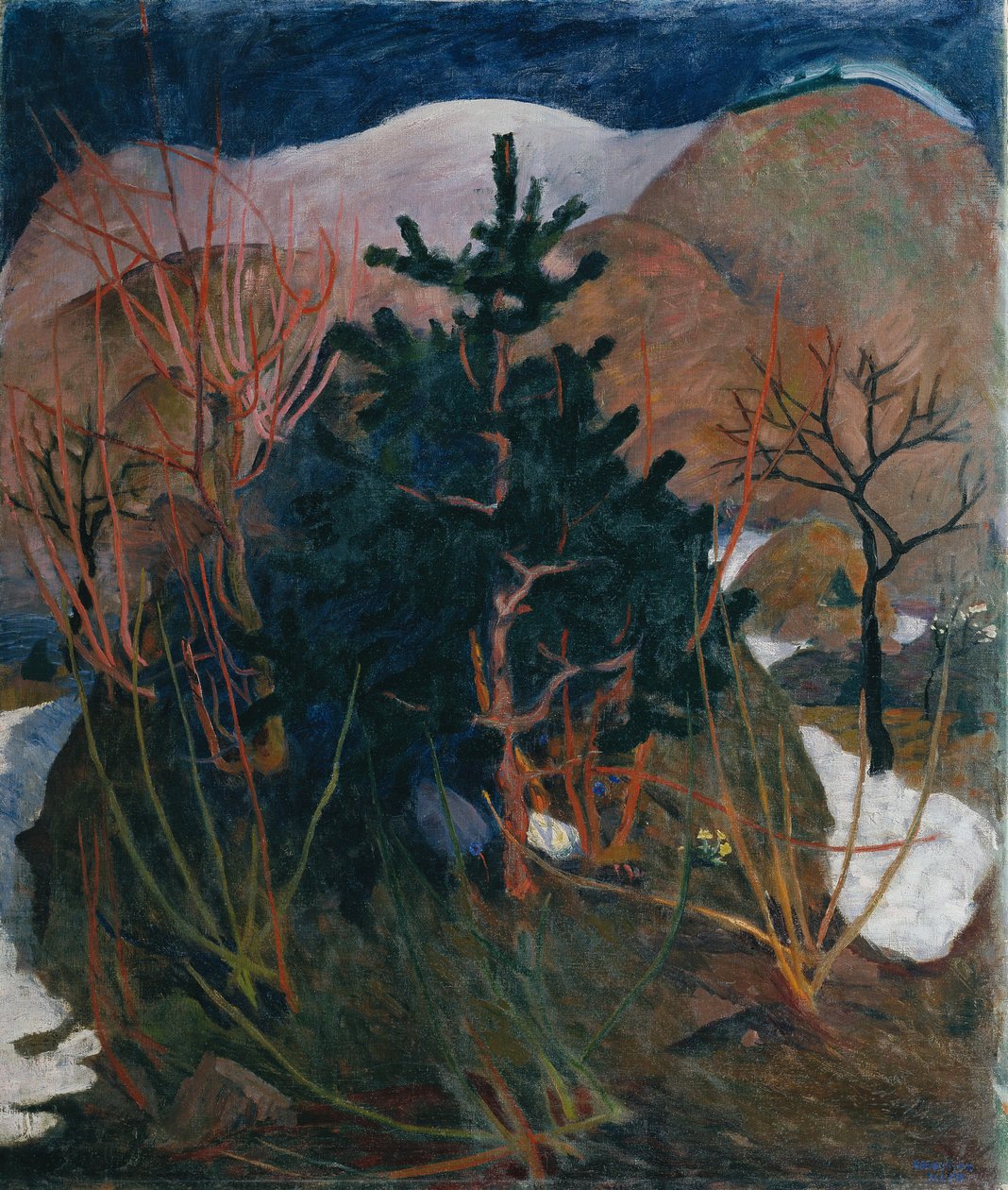 Karinthisch landschap door Sebastian Isepp