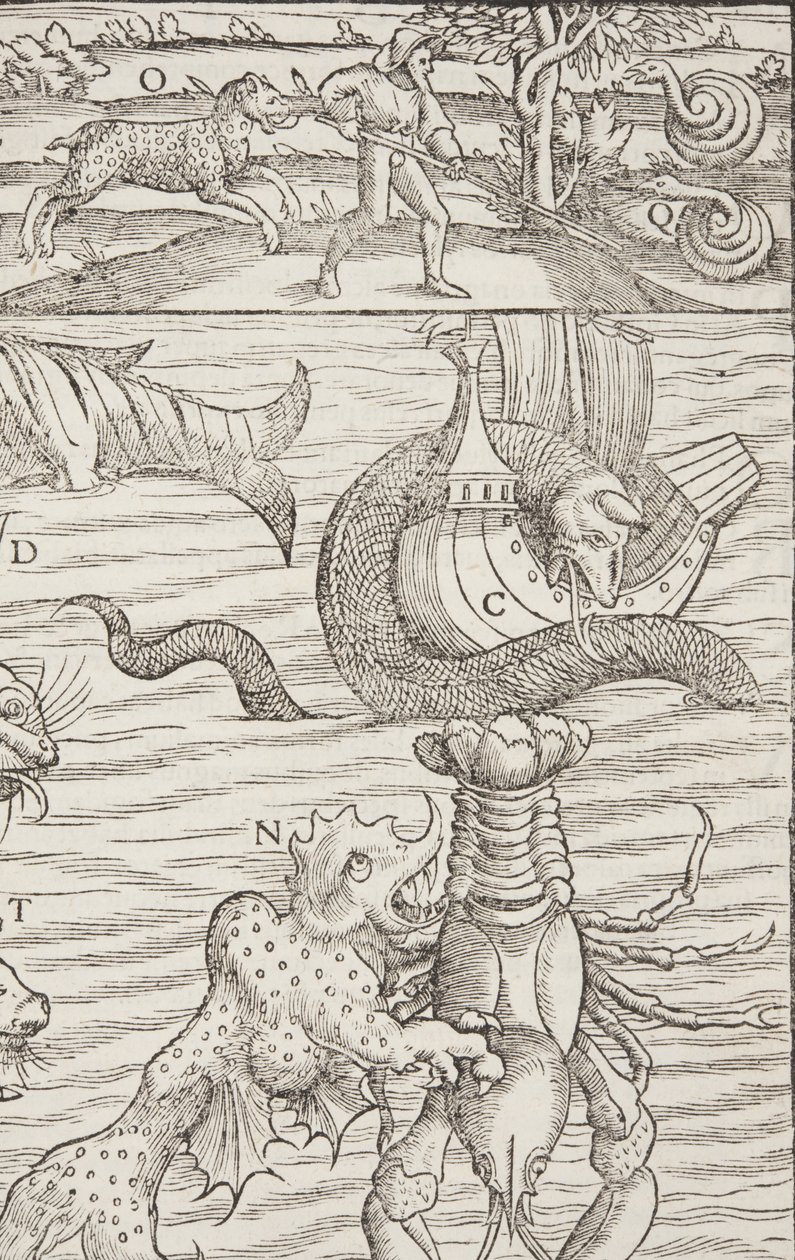 Cosmographia, Fol 853, 1544 door Sebastian Munster