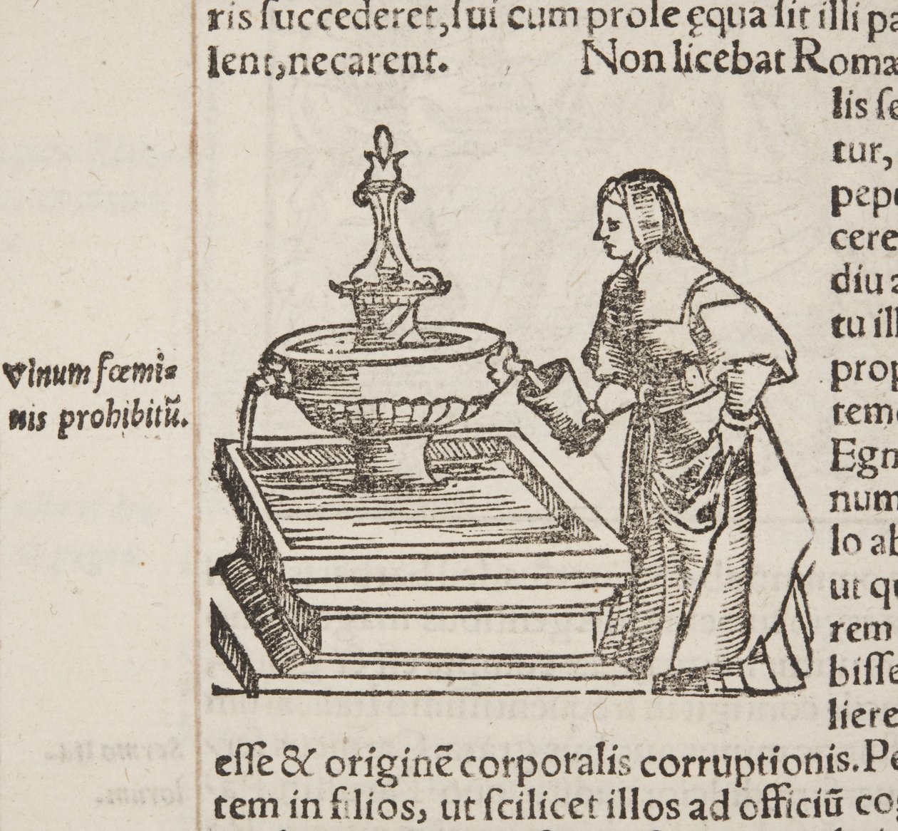 Cosmographia, detail van Fol 202 door Sebastian Munster