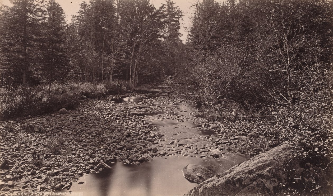 Marion River bij Bassett
