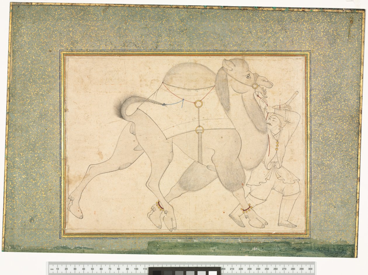 Kameel en verzorger, ca. 1545-1576 door Shaykh Muhammad