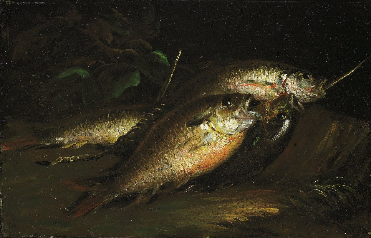 Vis, 1842 door Shepard Alonzo Mount