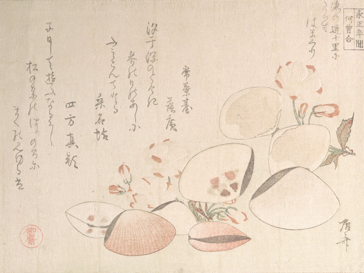 Kersenbloesems en schelpen door Shinsai