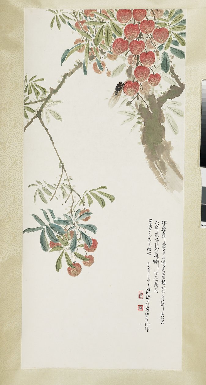 Lychees en cicade door Shuren Chen