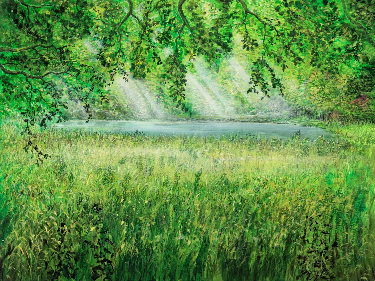 Naturschirm door Silvian Sternhagel
