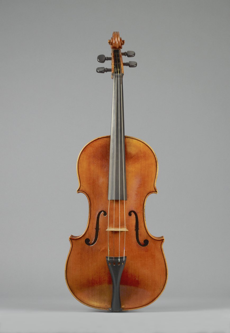 Viola door Simon Andrew Forester door Simon Andrew Forster