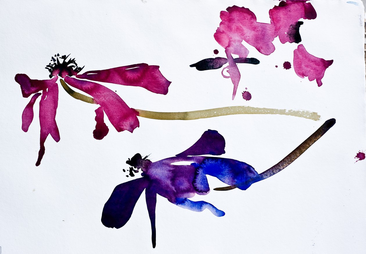 Anemonen (aquarel op papier) door Simon Fletcher