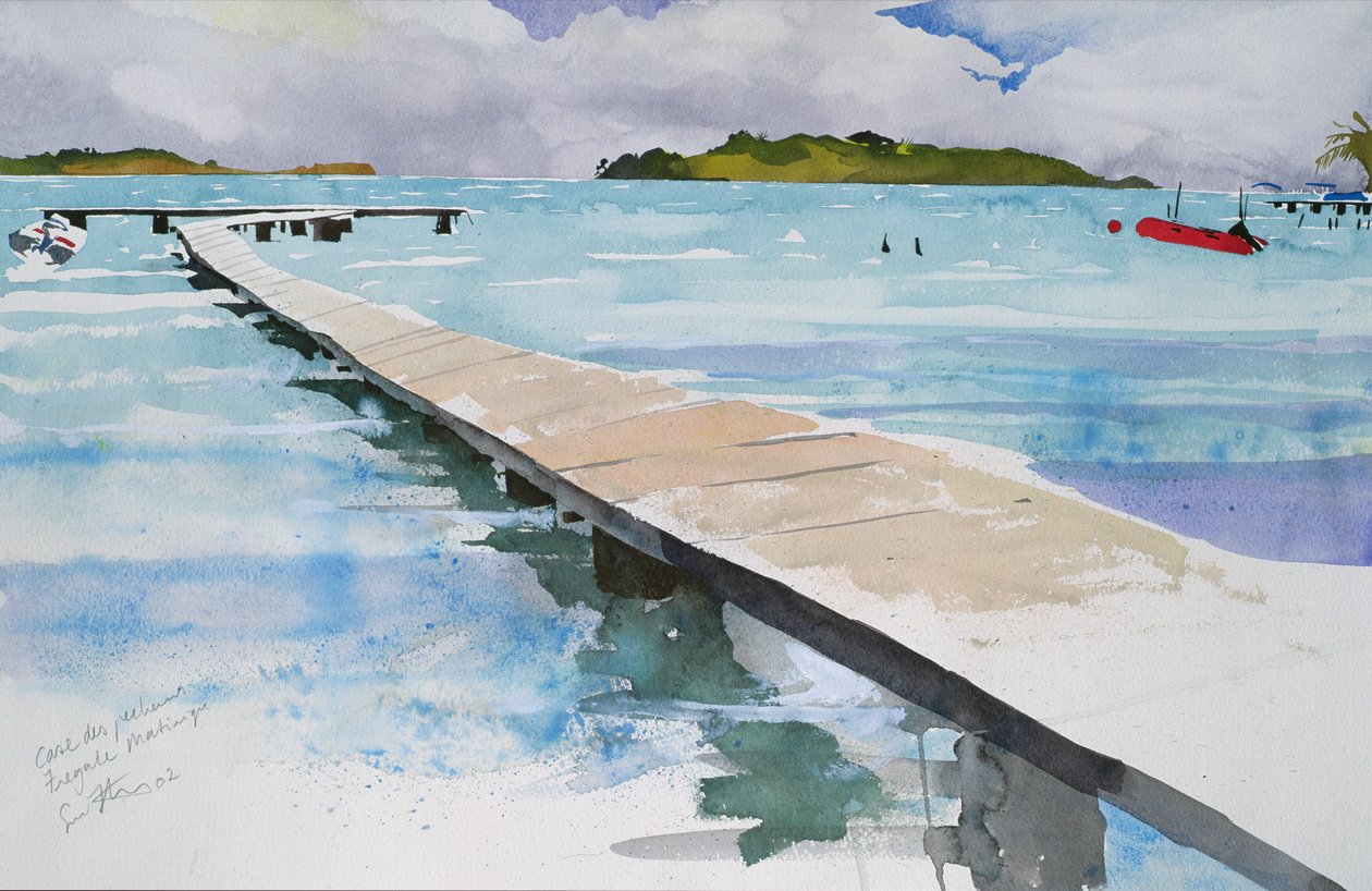 Geval van diefstal Martinique door Simon Fletcher