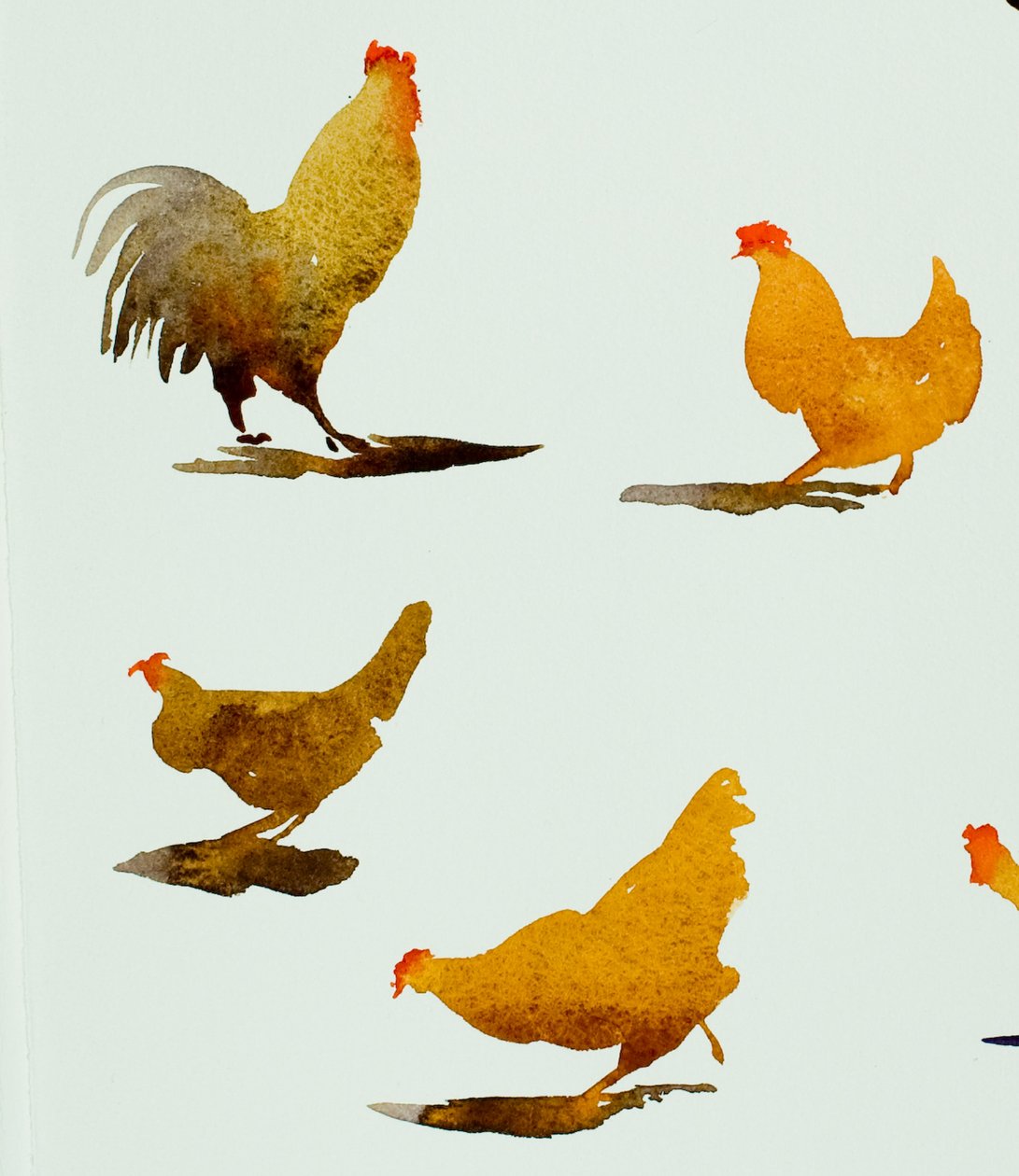 Haan en drie kippen, 2013 (aquarel) door Simon Fletcher
