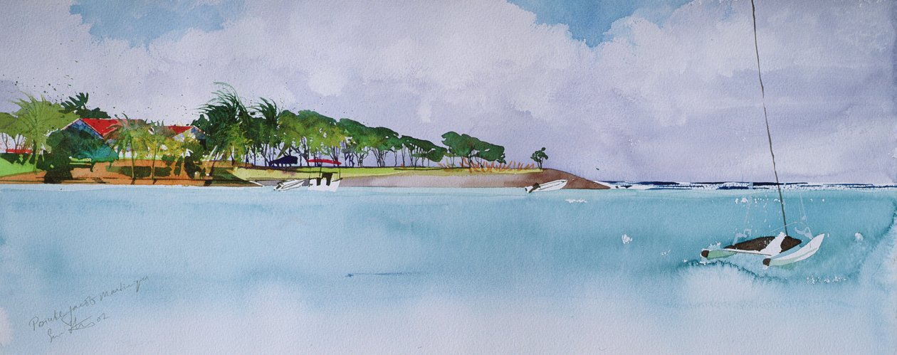 Punt Jacob, Martinique door Simon Fletcher