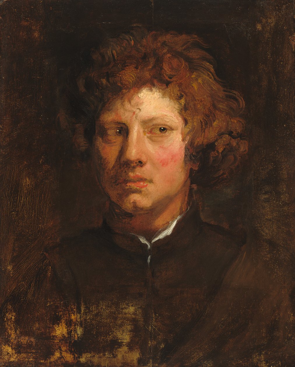 Hoofd van een jonge man door Sir Anthony van Dyck