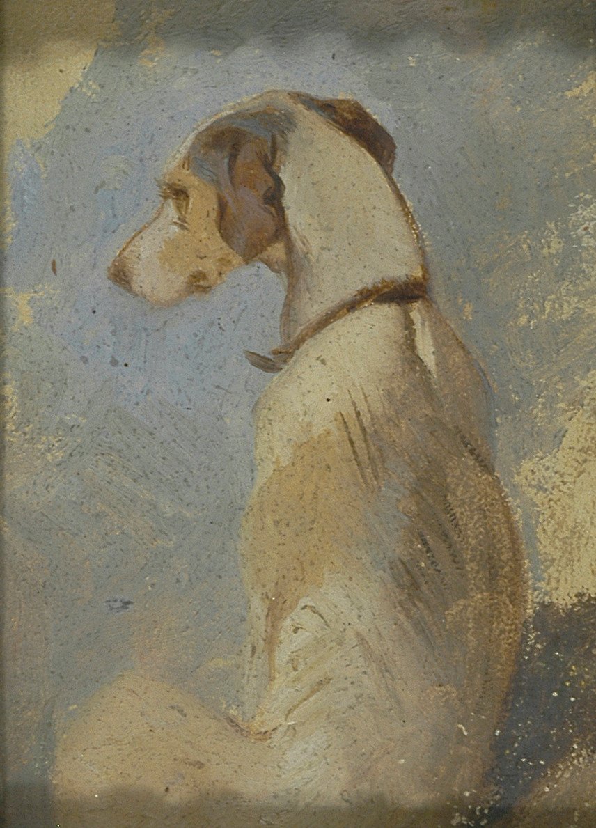 Studie van een Windhond door Sir Edwin Henry Landseer