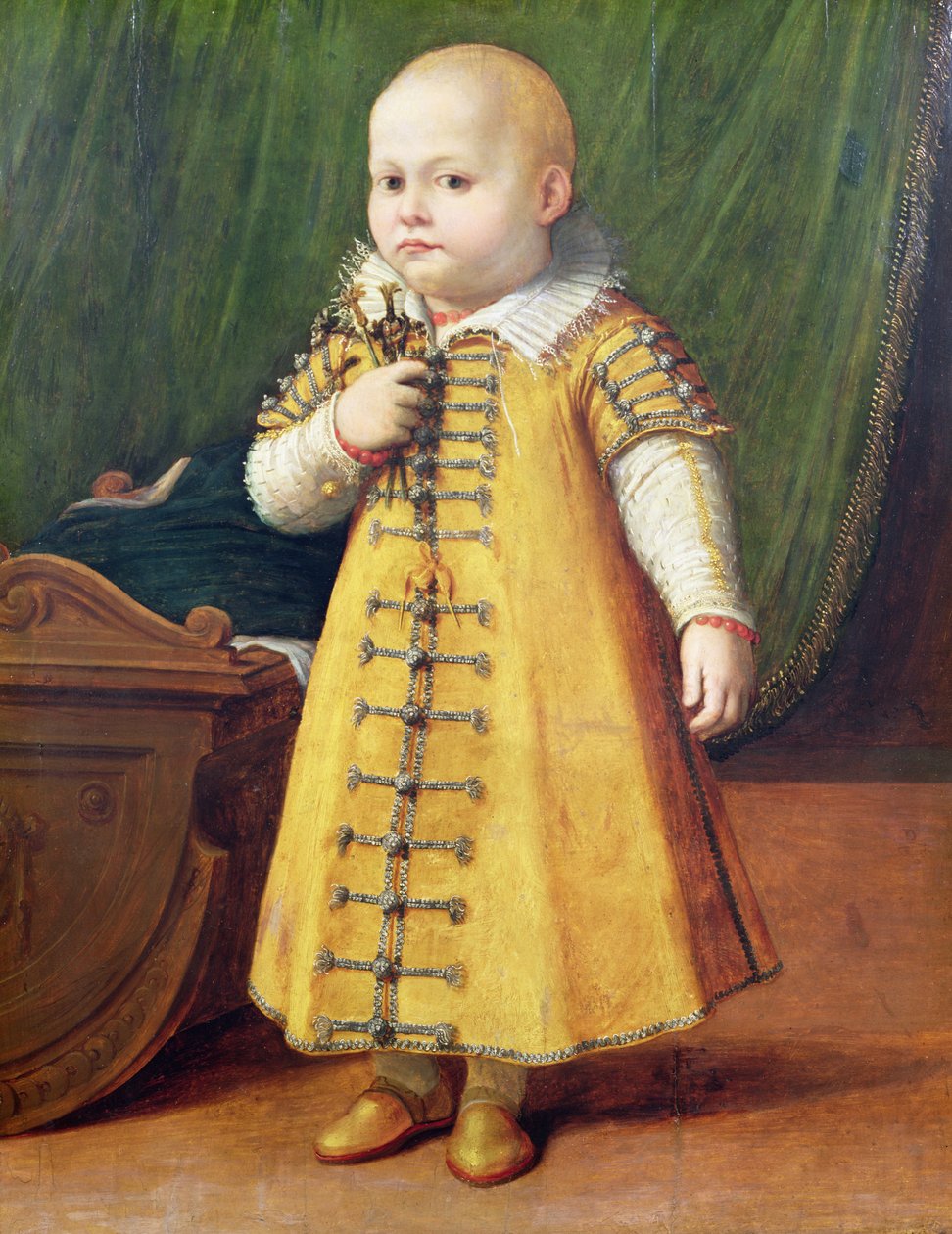Portret van een Kind door Sofonisba Anguissola