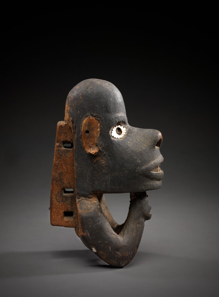 Kano boegbeeld, nguzu nguzu, New Georgia, Solomon Eilanden, begin tot midden 1800s door Solomon Islander