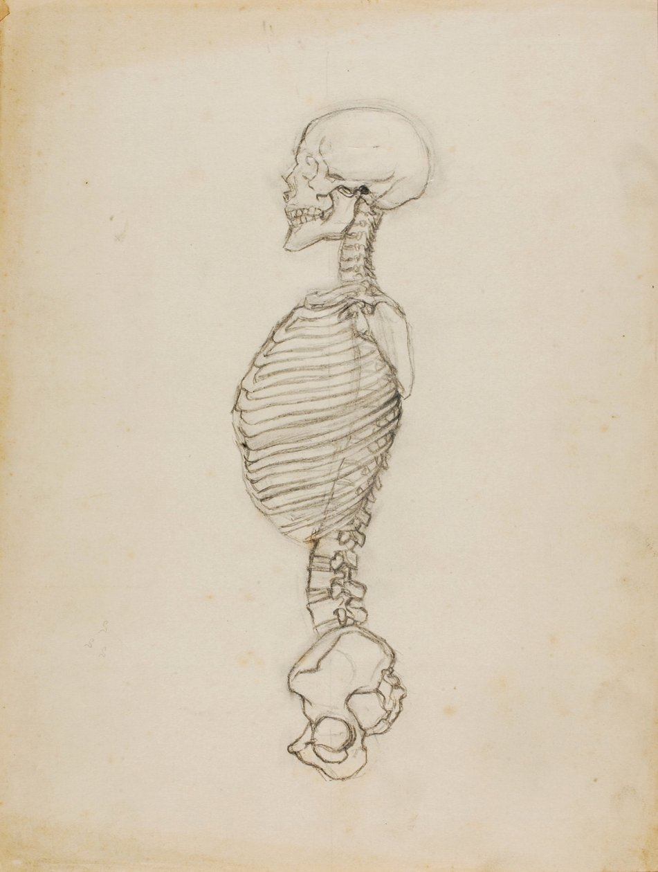 Anatomie door Solon H. Borglum