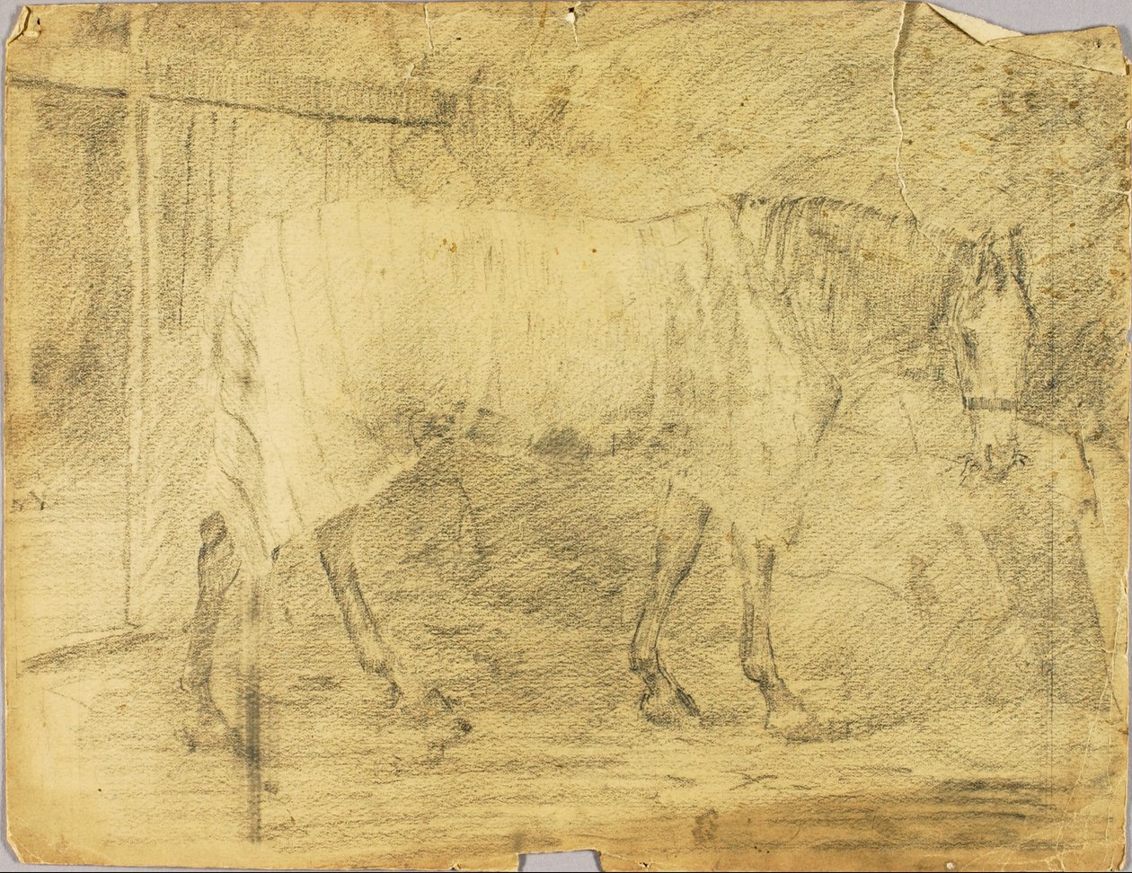 Paard door Solon H. Borglum