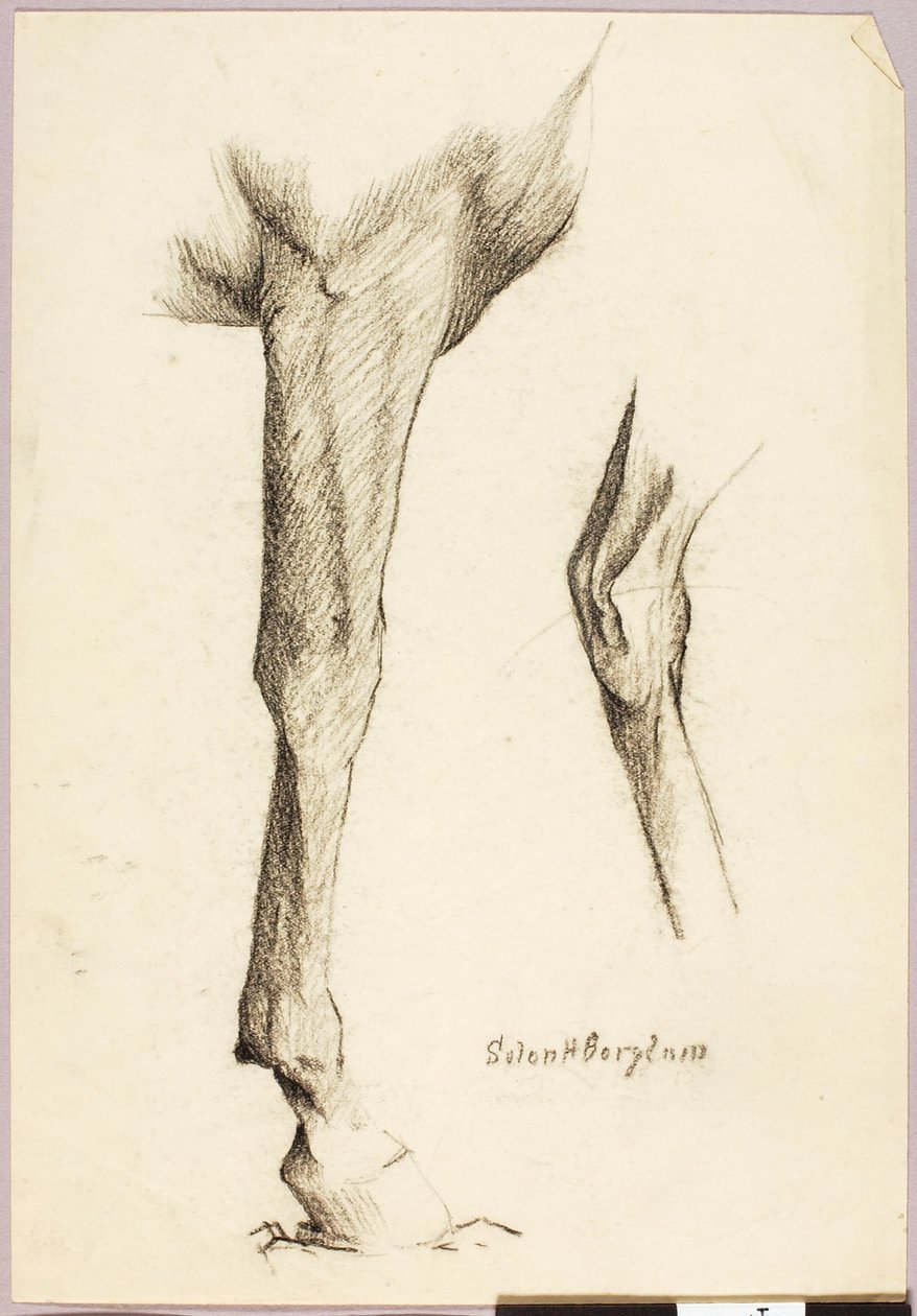 Paard Studie door Solon H. Borglum