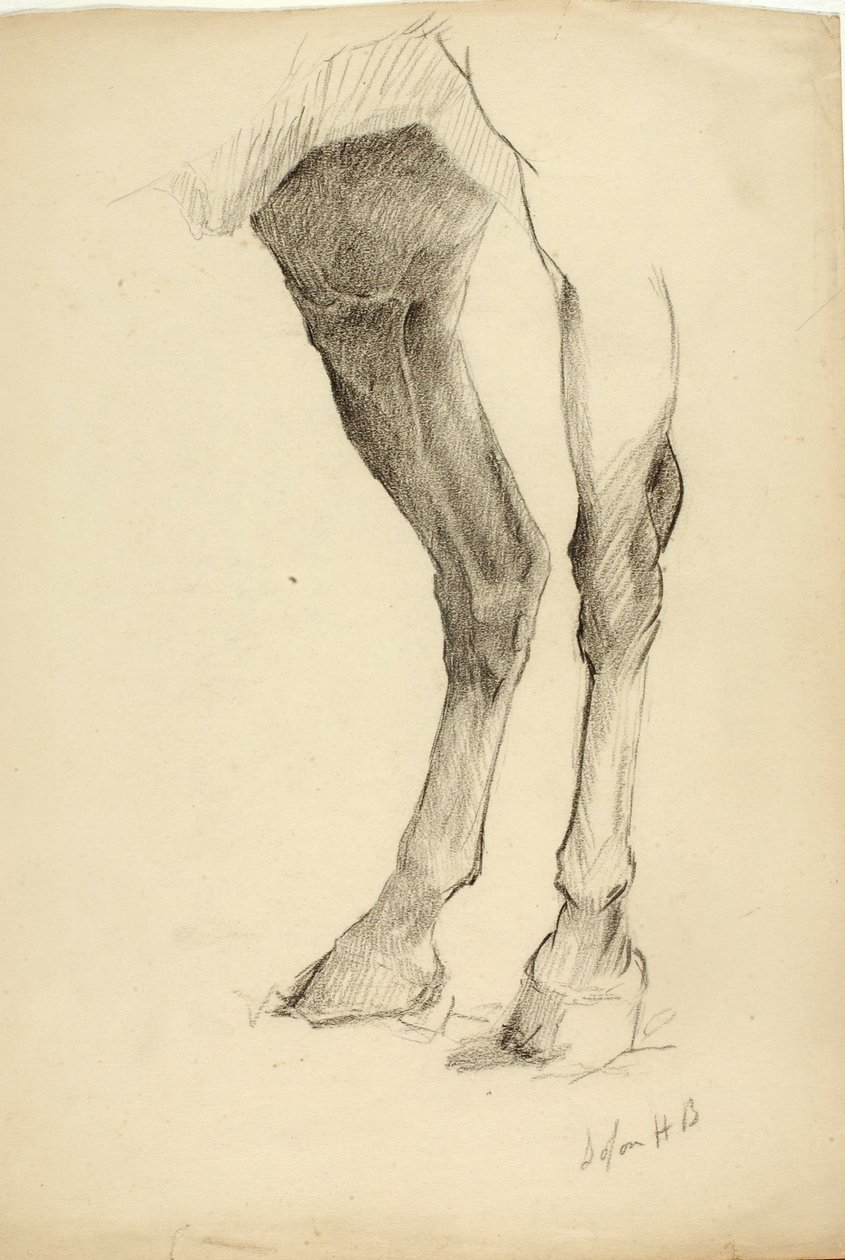 Paardenbeen door Solon H. Borglum