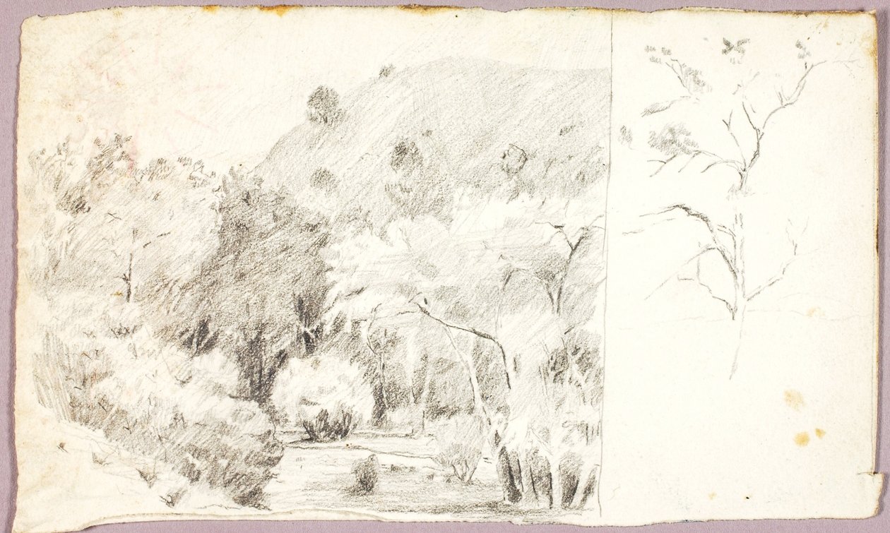 Landschap door Solon H. Borglum