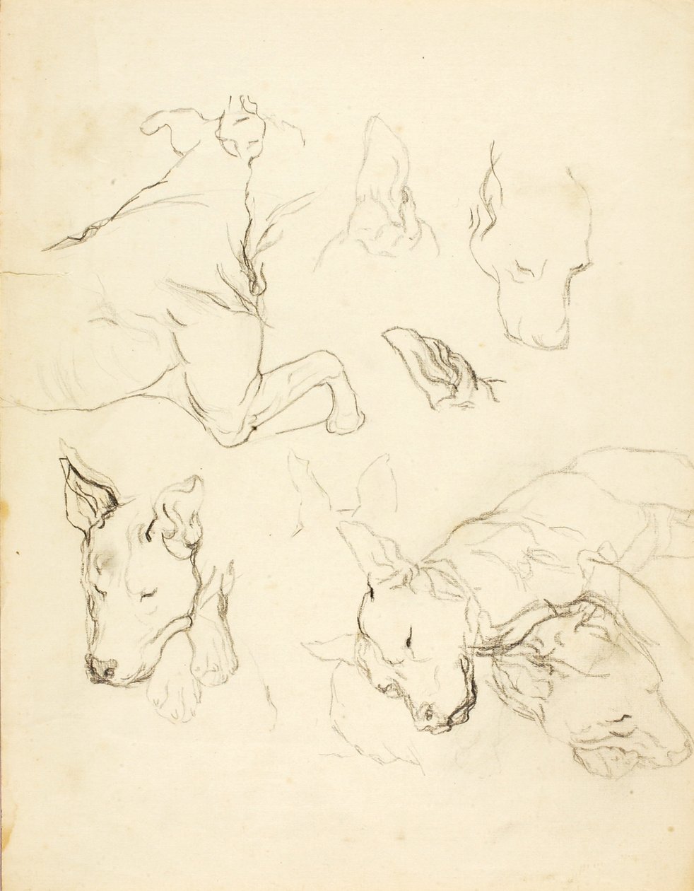 Slapende honden door Solon H. Borglum