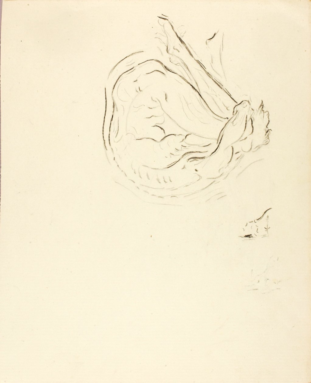 Zwemmer door Solon H. Borglum