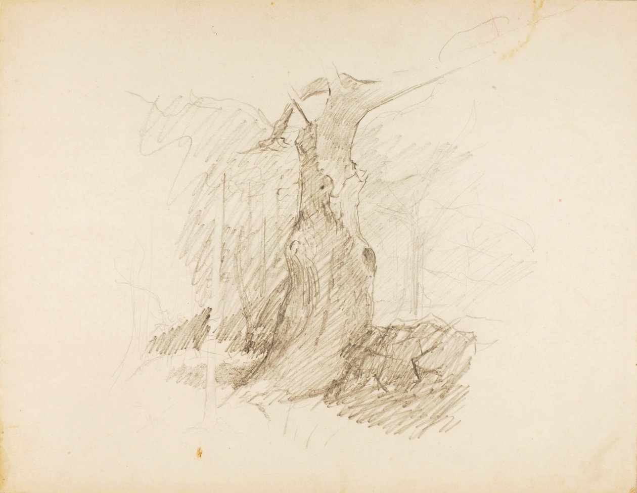 Zonder titel door Solon H. Borglum
