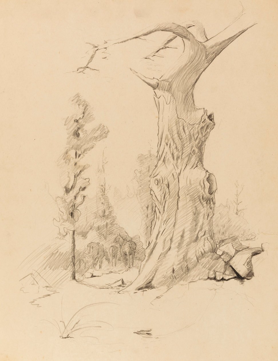 Zonder titel door Solon H. Borglum