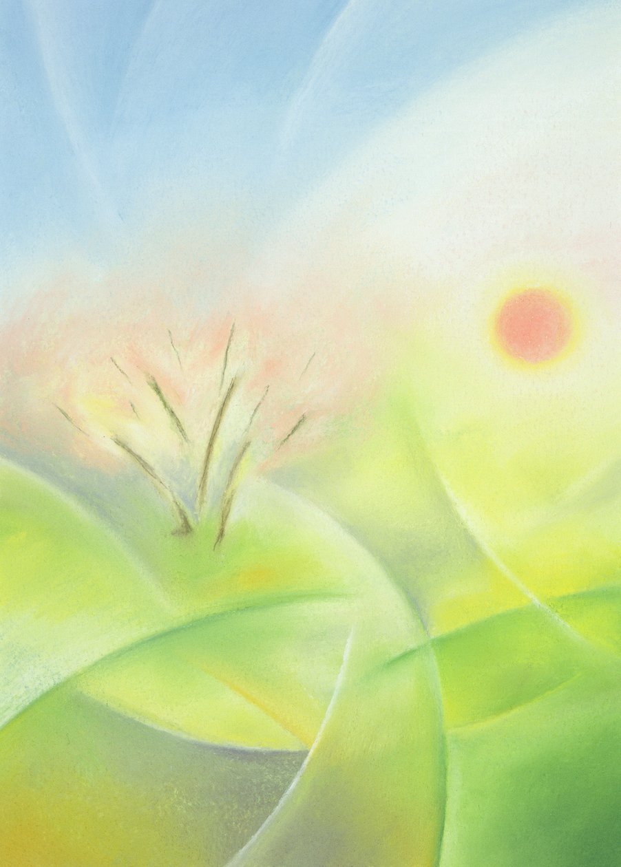 Lente door Sophie Hacker