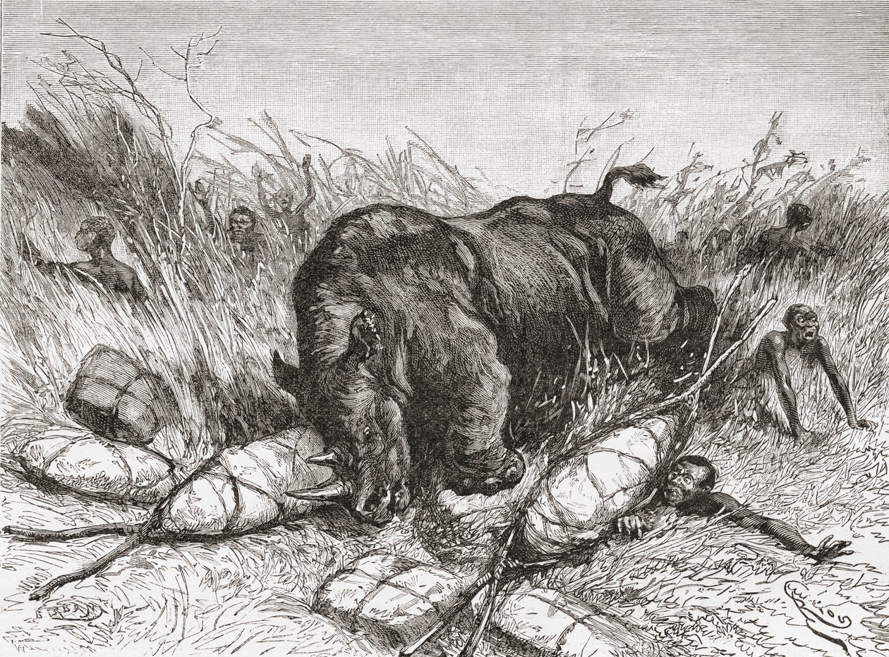 Een neushoorn valt een expeditie aan, uit 