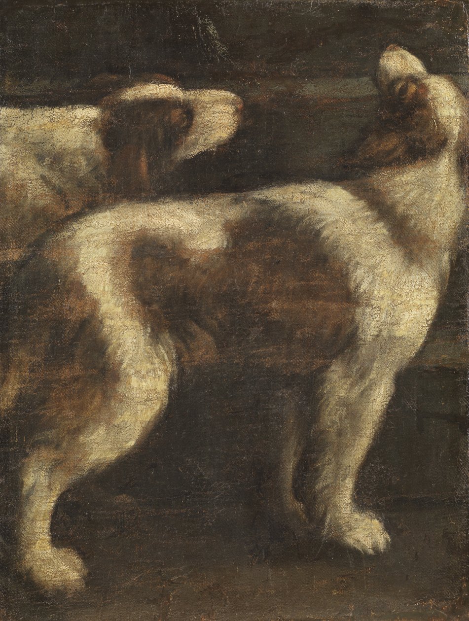 Twee honden door Spanish School