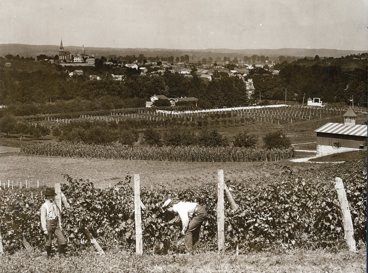 Uitzicht over wijngaarden in Hermann, Missouri door George Stark