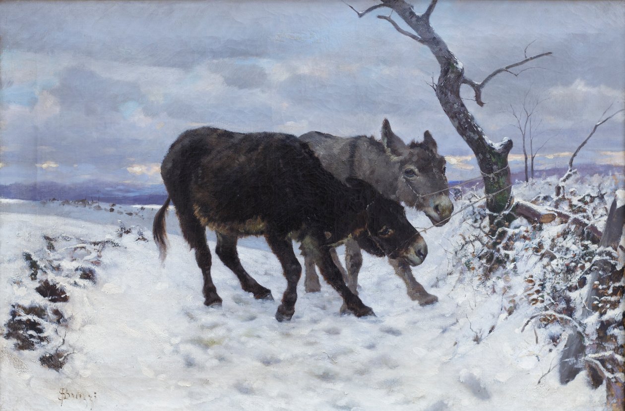 De twee ezels in de sneeuw door Stefano Bruzzi
