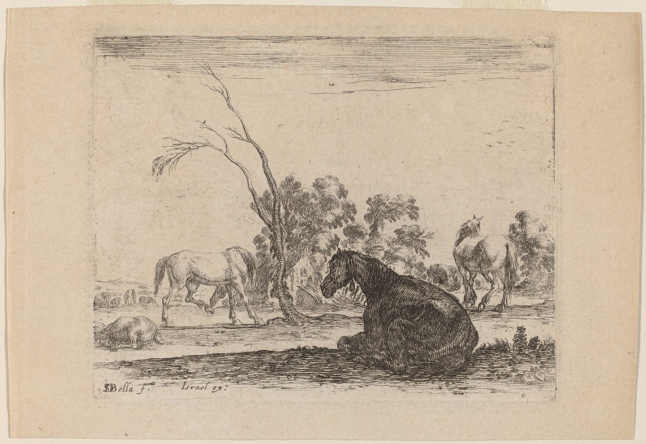 Paarden in een Weide door Stefano della Bella