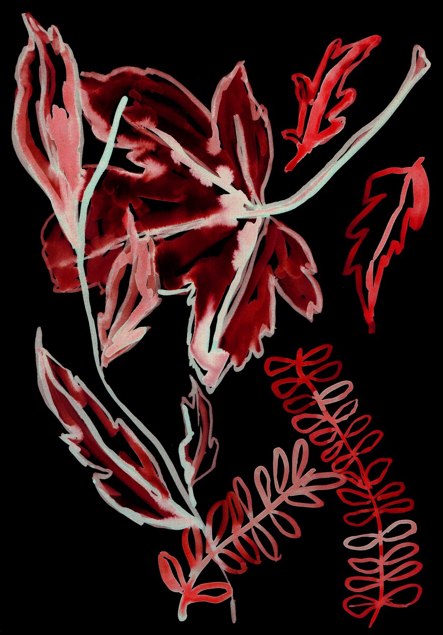 Nacht Flora I, 2018 (digitaal) door Stephen Dow
