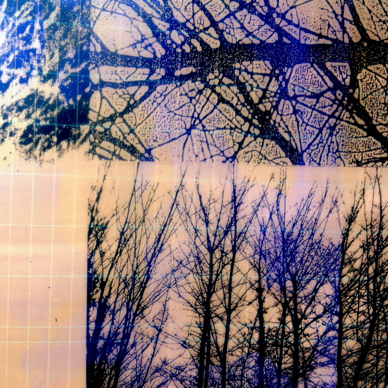Seizoen IV, 2018 (digitaal) door Stephen Dow