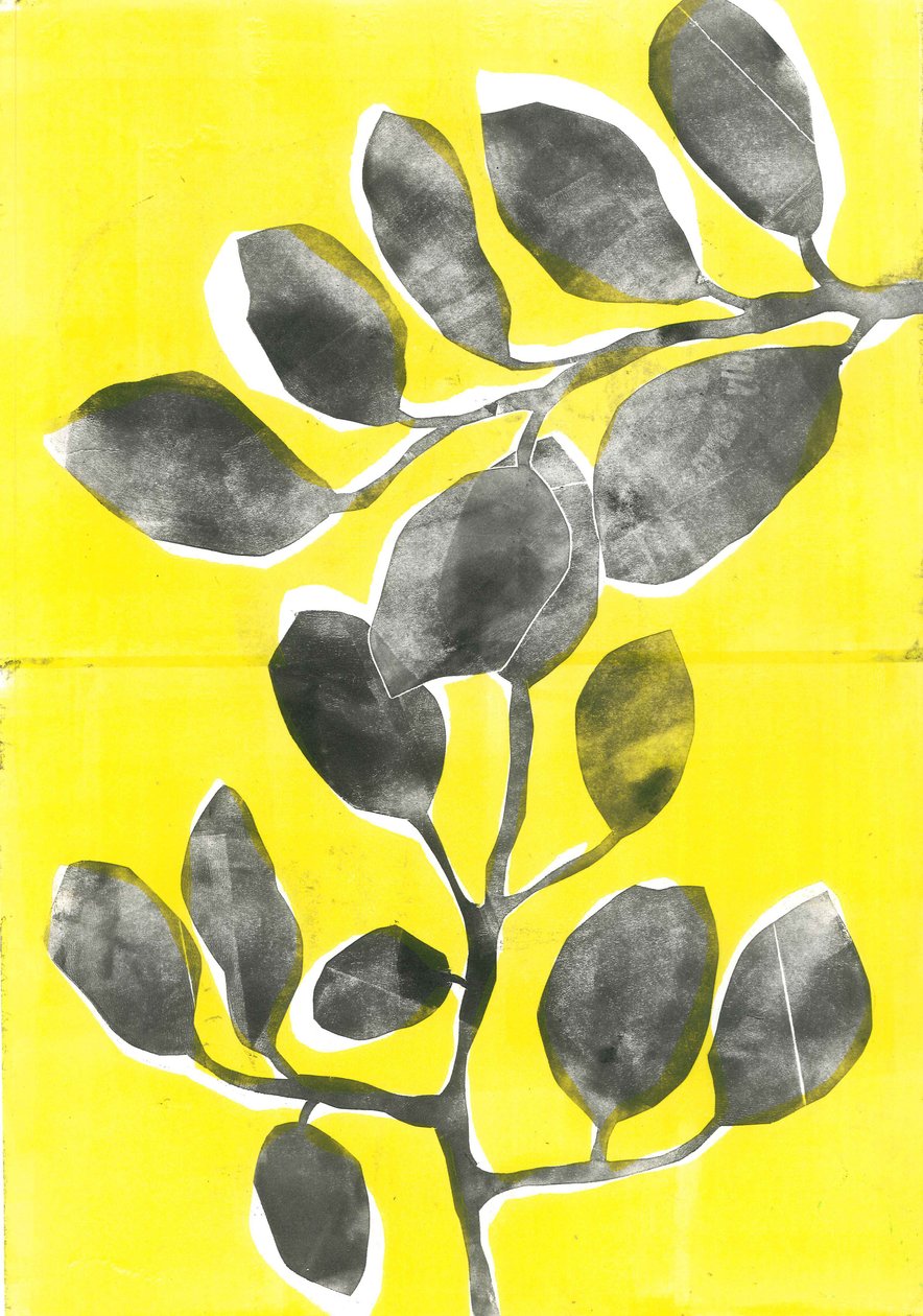 Zomertuin IV, 2015 (monoprint op papier) door Stephen Dow