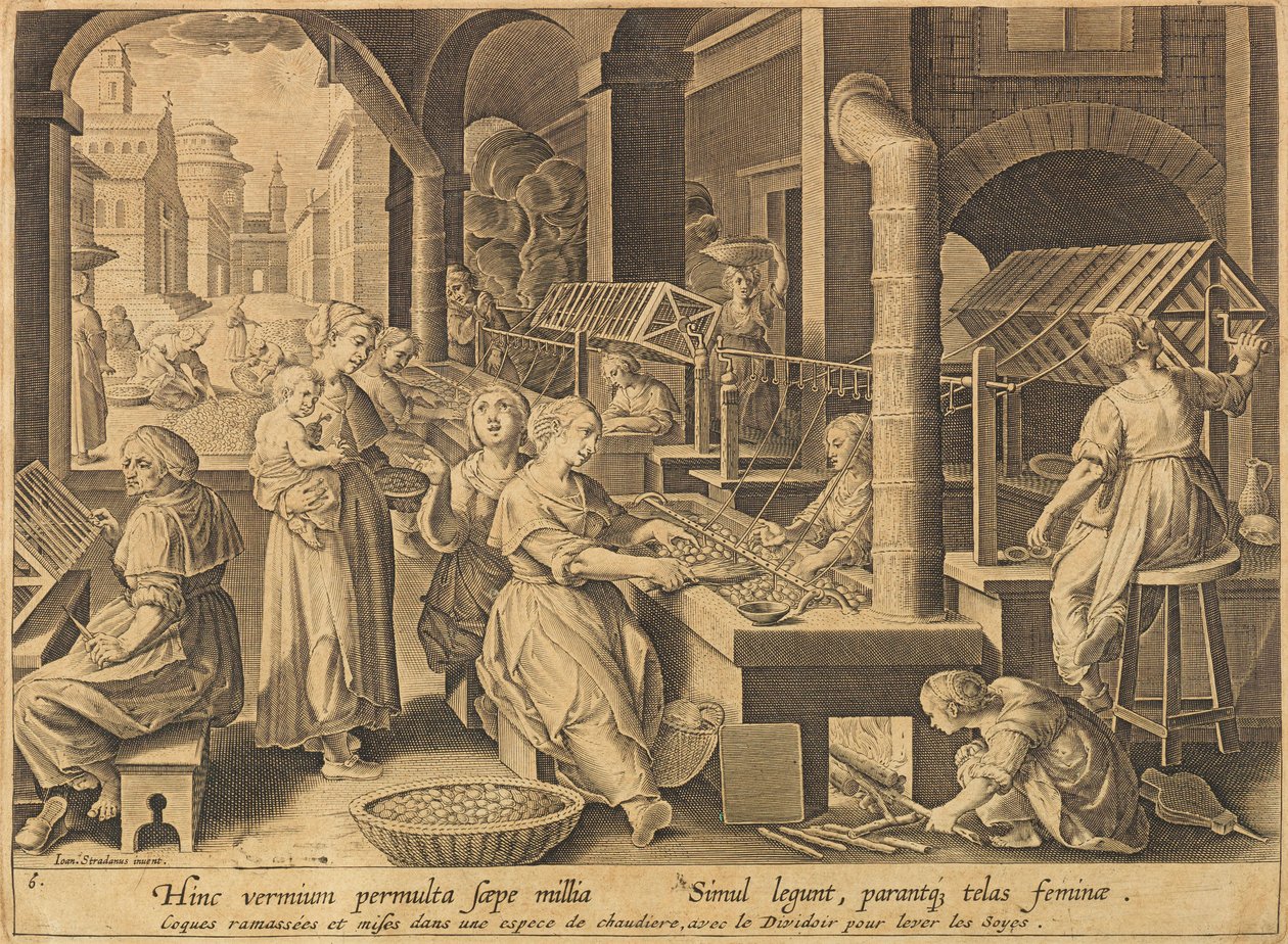 Zijde-extractie Vermis sericus, na 1640 door Stradanus