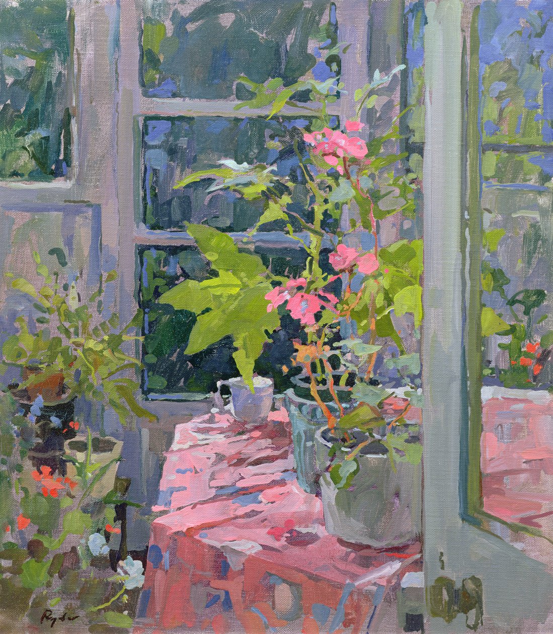 Geraniums en Roze Doek door Susan Ryder