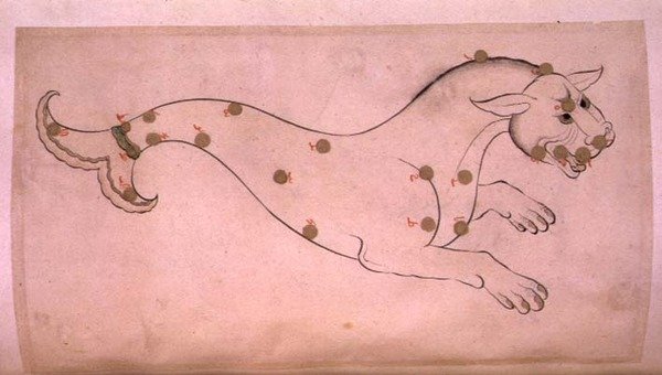 Constellaties: Cetus, de walvis door Suvar Al Kavakib