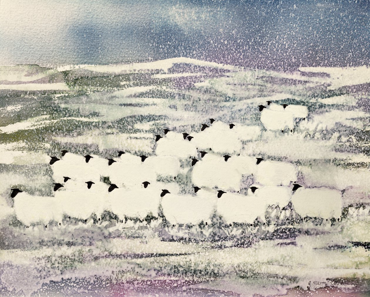 Schapen in de winter door Suzi Kennett